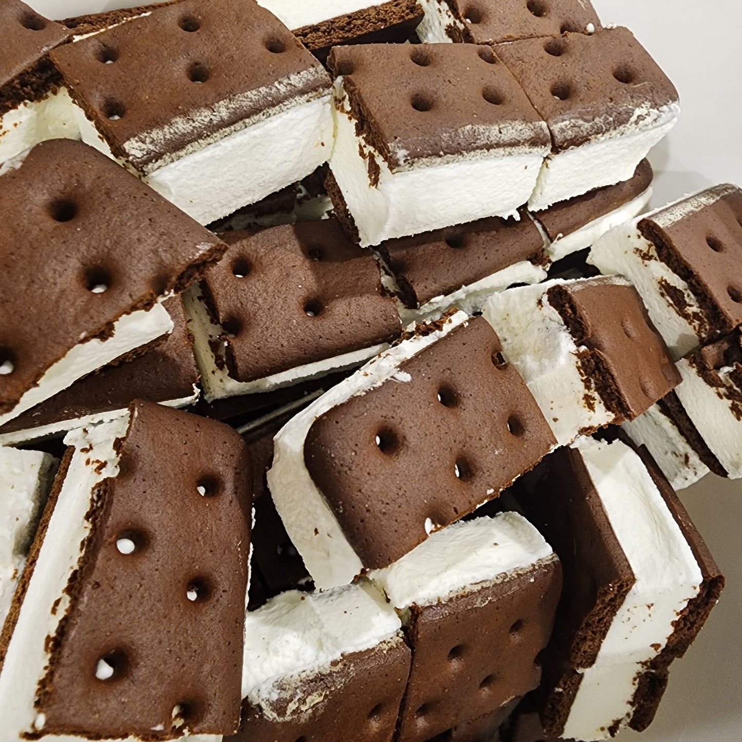 Ice Cream Sandwich Squares Freeze Dried